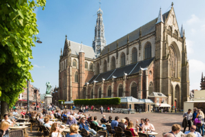 Wat is er te doen in Haarlem? | Grote Markt in Haarlem | City Attic Haarlem Bed and Breakfast